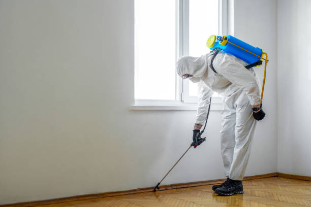 Best Indoor Pest Control  in Kings Bay Base, GA